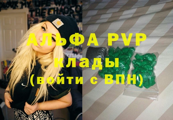 амф Верея