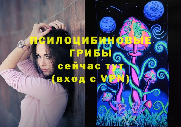 амф Верея