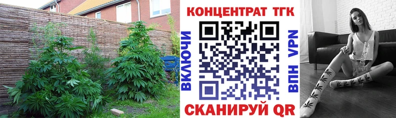 ТГК концентрат  закладки  Новомичуринск 