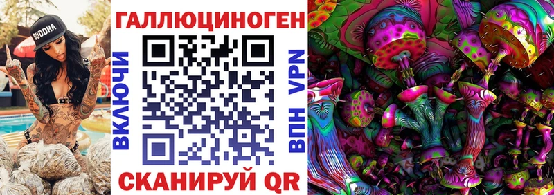 продажа наркотиков  Новомичуринск  МЕГА ССЫЛКА  Псилоцибиновые грибы мухоморы 